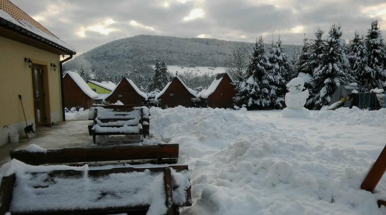 Bobrowka Villa Solina  Dış mekan fotoğraf