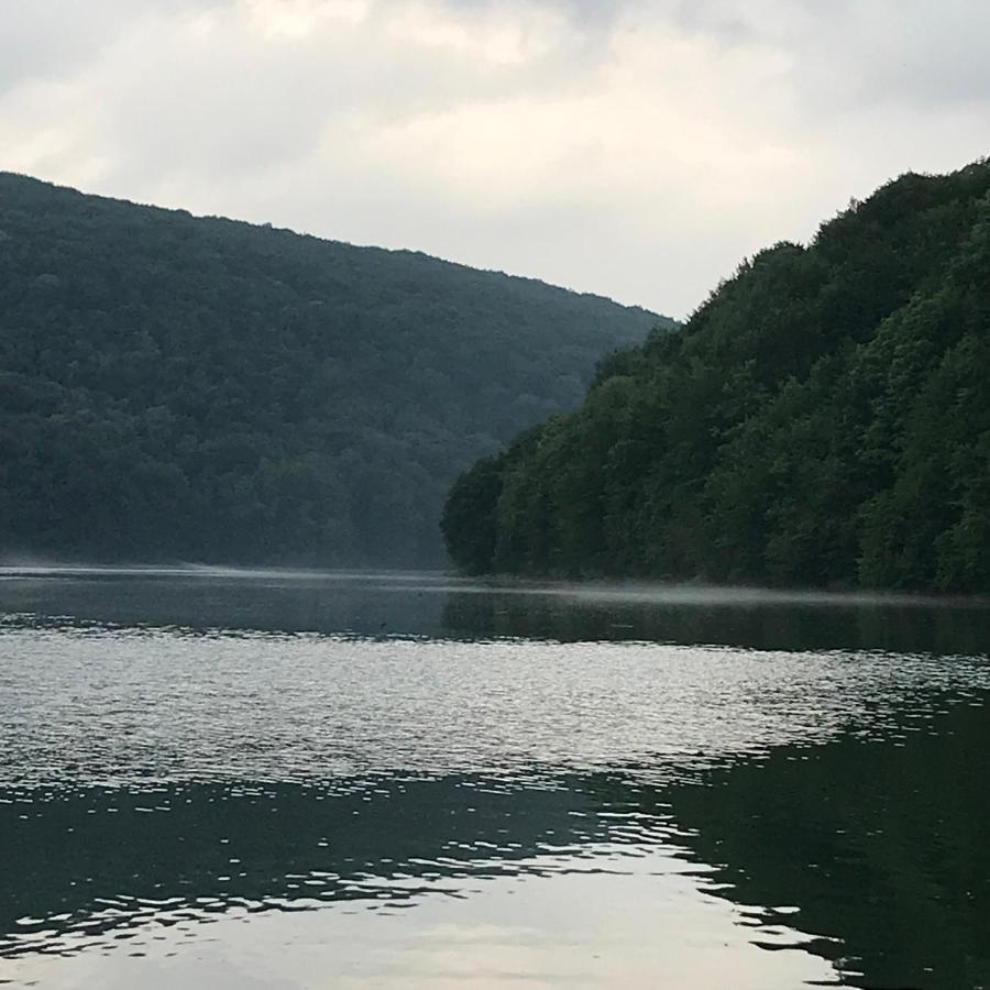 Bobrowka Villa Solina  Dış mekan fotoğraf